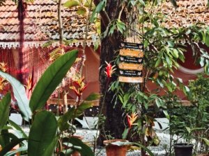 Private lake and sea view villas in Cherai
