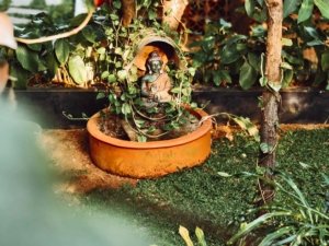 Private lake and sea view villas in Cherai
