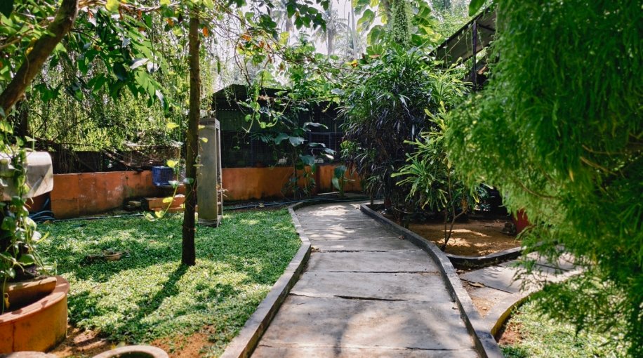 Ambadis Villas backwater suite