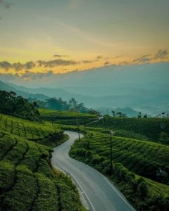 Cheeyappara Waterfalls Munnar drive from Cherai Beach