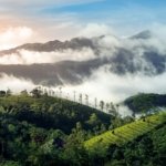 vagamon
