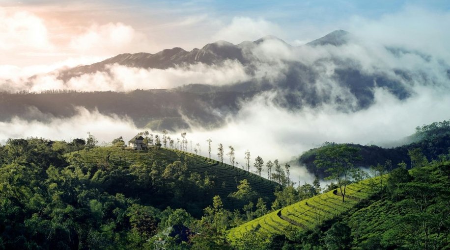 vagamon