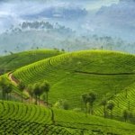 munnar