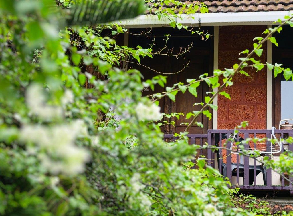 Where to Stay in Cherai Beach in September 2026,Why Ambadis Villas is the Answer