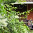 best rooms in cherai